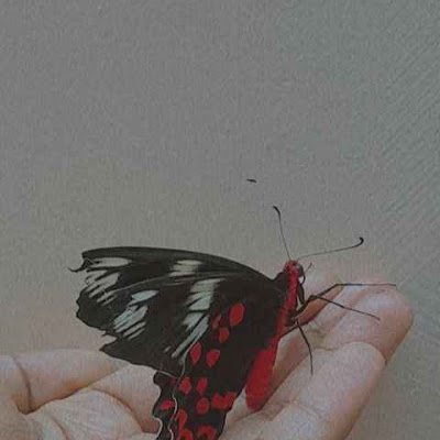 SanaAzeemah2's profile picture. 