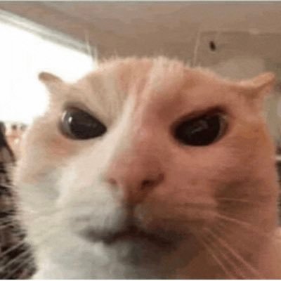 binkstobinks78_'s profile picture. 