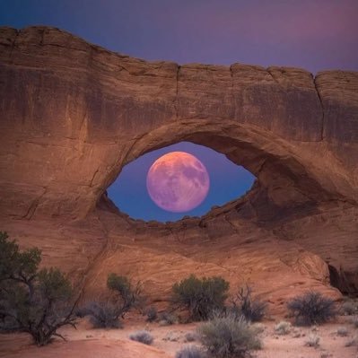 Alejandro9918's profile picture. Hazlo ahora, a veces después se convierte en nunca