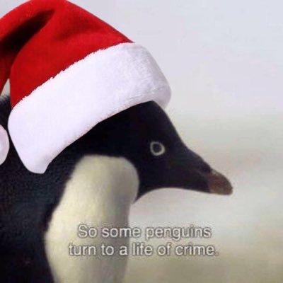 Crime_Penguin's profile picture. Spokesman for the Spheniscidae Syndicate