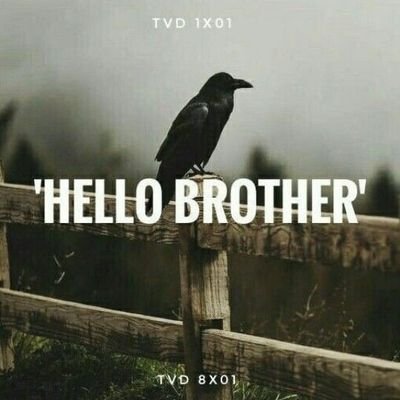 arsenelupyn's profile picture. 