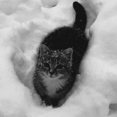 iheartgrl's profile picture. 24 ♱ | respect me, as i am your hail mary! | 19- & raceplay dni