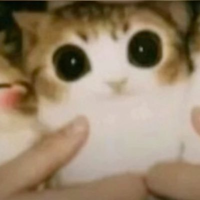 FatBlud's profile picture. 