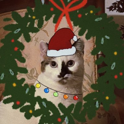 princessemorue's profile picture. les aventures de moïmoï ♡ 8 mois, fille de @witchyolly