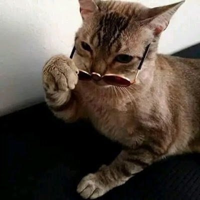 JGuzman93829's profile picture. 