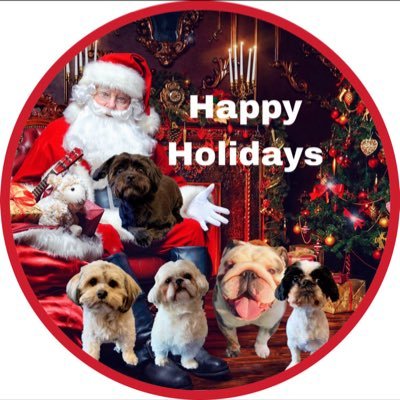 elvisbulldoguk1's profile picture. Hi my friends , We are Elvis an English bulldog and Teddy and Bear a Shih Tzu we tweet every day and band members of the famous #TJ5 follow our life in the U.K.