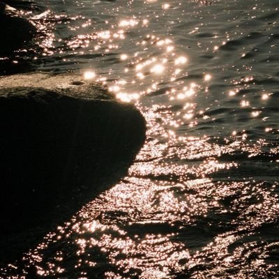 Melodie87559946's profile picture. 