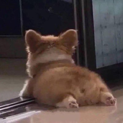 ᴅʏ ᴅʏʏ ⋆𐙚₊˚⊹♡ Profile