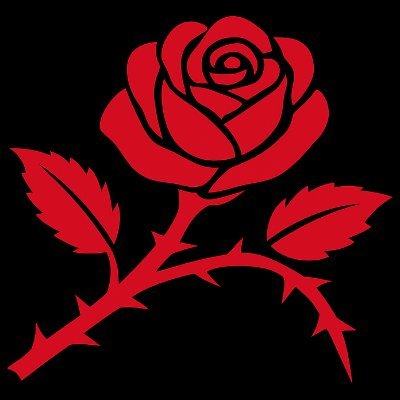 IEGallowGlass's profile picture. 35|Irish Libertarian-Marxist|Agender|ASD|Christian-Atheist|Paddystinian 'Terrorist'| 🍉🇸🇩🌻🏳️‍⚧️🇮🇪✊

Jesus Christ and James Connolly are my role-models.