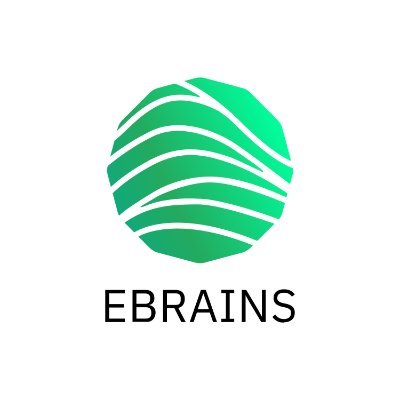 EBRAINS_eu's profile picture. EBRAINS is the new, state-of-the-art digital Research Infrastructure developed by the @HumanBrainProj. 🇪🇺 🧠