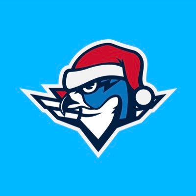 ThunderbirdsAHL's profile picture. we bring the boom ⚡️ | @stlouisblues affiliate