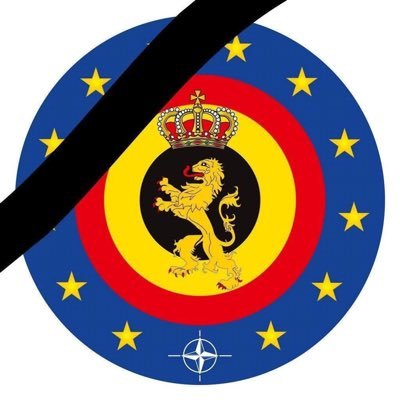 SafaiDarya's profile picture. Member of the Belgian Parliament / Delegation leader to NATO Parliamentary Assembly/ Women’s rights activist/Dentist