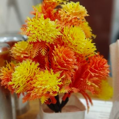 somobi40's profile picture. 