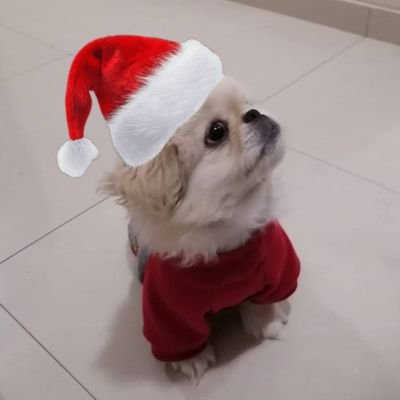 ozzy134340's profile picture. 🇪🇨
El mundo necesita más AMOR ⁱ ˡᵒᵛᵉ ᵗʰᵉ ᶜʰⁱᵇⁱ ᵒᶠ ᵇᵃⁿᵍᵗᵃⁿ