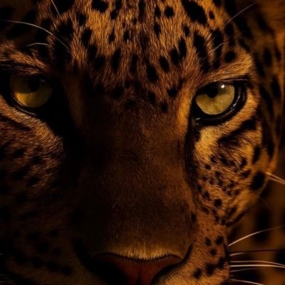 9my2w5qwgz's profile picture. ✨