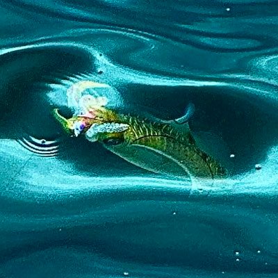 SHU120607's profile picture. 