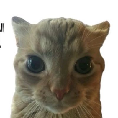 JaiSama7's profile picture. Hmmmm…I don’t get it