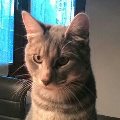 francescob84936's profile picture. 