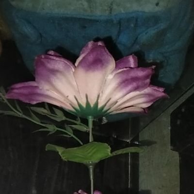 stazkiyatun's profile picture. 