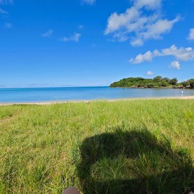 sena_photo1's profile picture. スマホで写真撮ってます