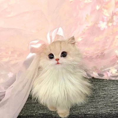 deviciz's profile picture. 🖖🏻แพรเองอย่าเกรงใจฮัป— 🙇‍♀️
🙇‍♀️ — ยอดเริ่มต้น 5 K 
— ประวัติดี อัฟได้ไม่อั้น นร /พนง/ รับหมด  
— ผ่อนนานสุด 36 เดือน 
เครดิตดีอัพได้เรื่อยๆ สนใจคลิกลิงค์