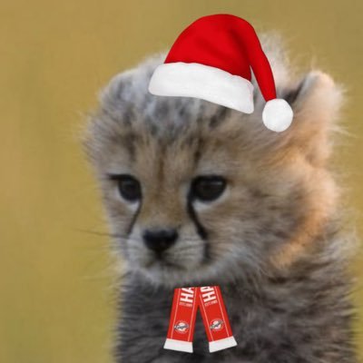 huhxln's profile picture. 기다렸다때렸고오른쪽오른쪽끝까지뻗어갑니다믿을수없습니다역전쓰리런