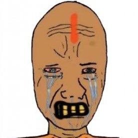 Agent48dz's profile picture. Activist from incredible India 🇮🇳