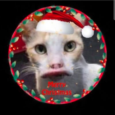 DesiFlurane's profile picture. Please refer to pinned Tweet. Thanks