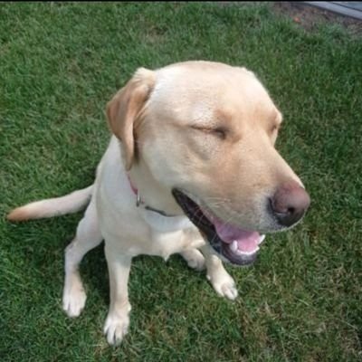 Dyvann__'s profile picture. 