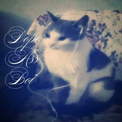 fm_jori's profile picture. 