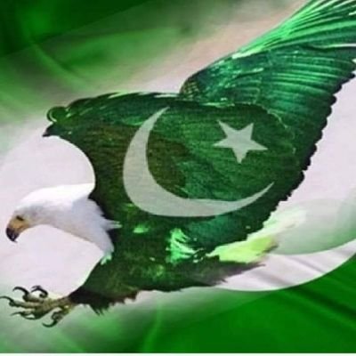 Hadibux54903's profile picture. 