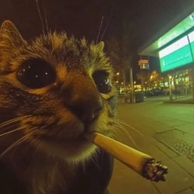 backshotthug's profile picture. w concept