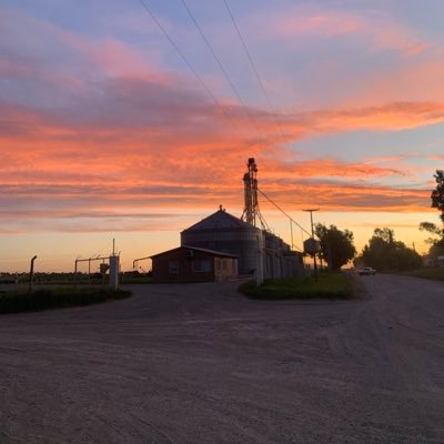 EmmaE39406's profile picture. 