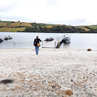 septimoartecol's profile picture. Agencia de promoción y difusión de Cine, Teatro y demás cositas de la cultura geek; que comparte críticas, reseñas y crónicas.