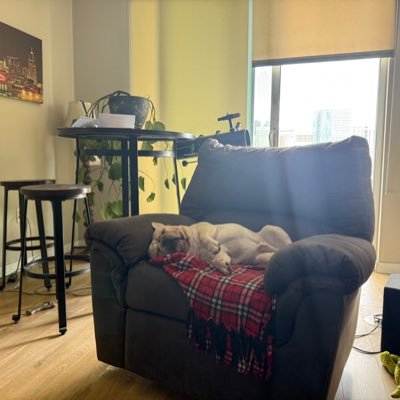 FrenchyFrenchie's profile picture. Blessed to be a Black Catholic Republican in America raised by the best Mom and Dad ever...Jesus is the Way...Go Gators!