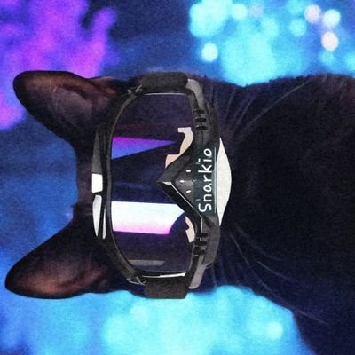 Snarkio_'s profile picture. 