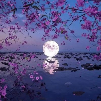 Ashok07277499's profile picture. DELED M. A History Teacher life ❣️