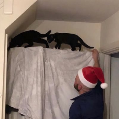 CatLifeOnX's profile picture. Cat dad to Bliss & Blue. Grok Imagine enthusiast. Cats, AI, poor Scottish patter & chat will be what you find here once you hit that follow button.