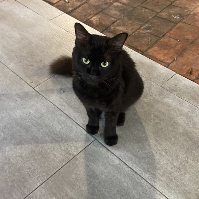 lm14_60's profile picture. a nerdy moaner|straight asf