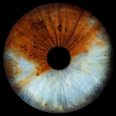 YvesAlainMarti's profile picture. 