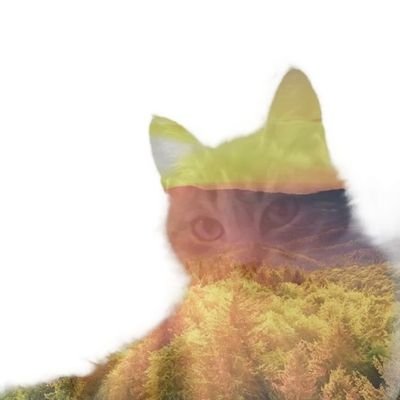 Ann_Mass_paris's profile picture. Al no poder aceptar que somos libres en jaulas, nos movemos en mundos de palabras, queriendo ser libres