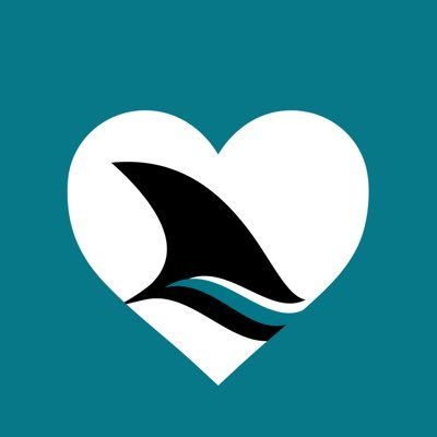 sjscommunity's profile picture. Representing community efforts across all @SanJoseSharks properties. Dedication on and off the ice 🦈