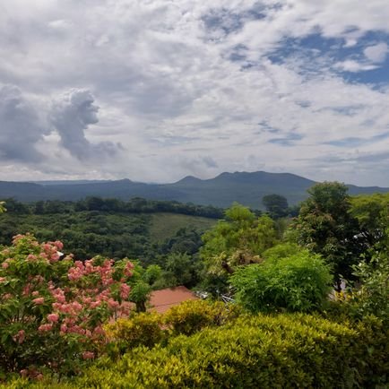 ShonunSw's profile picture. bushido