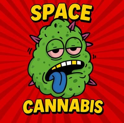 SPACECANNABIS's profile picture. instagram: https://t.co/vV5HPsyEwT

@BIKE1OOYEARS

🇧🇷