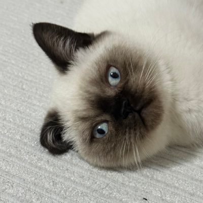 BofaNin29072's profile picture. 