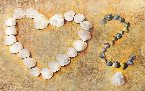 zee328's profile picture. Follow me and I'll follow you back;)