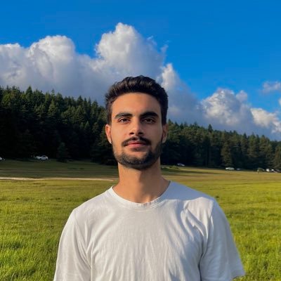 0xd3vnull's profile picture. Penetration Tester | TSE | CNSP | Web-RTA