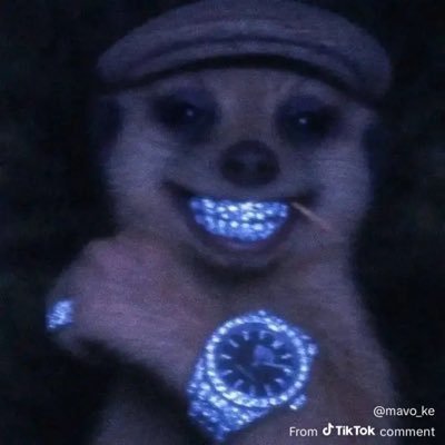 wanele_dlaminii's profile picture. IG: @wanele_dlaminii