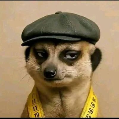 UchennaSam36795's profile picture. God first, Active Raider, Active Yapper, Collab manager, influencer, community manager