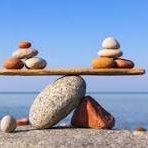 SF66802's profile picture. Practicing yogi, travel junkie, sourdough baker, follow-the-money, truth seeker, retired Pharma exec